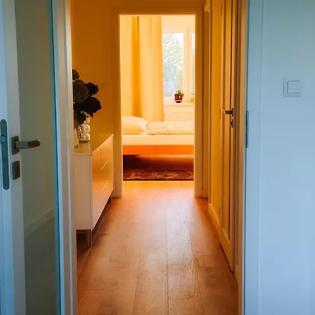 公寓 Comfort 皮耶什佳尼