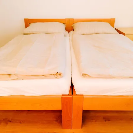 公寓 Comfort 皮耶什佳尼