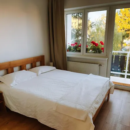 公寓 Comfort 皮耶什佳尼